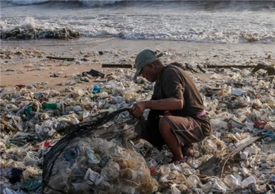 The Harm Of Chemical Plastics To The Ocean